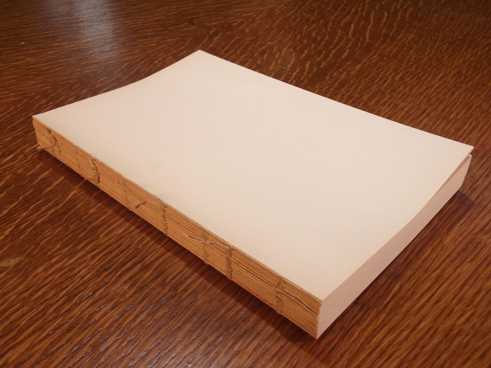 LIGHT THERAPEUTICS, 1927 edition, by Dr. John Harvey Kellogg