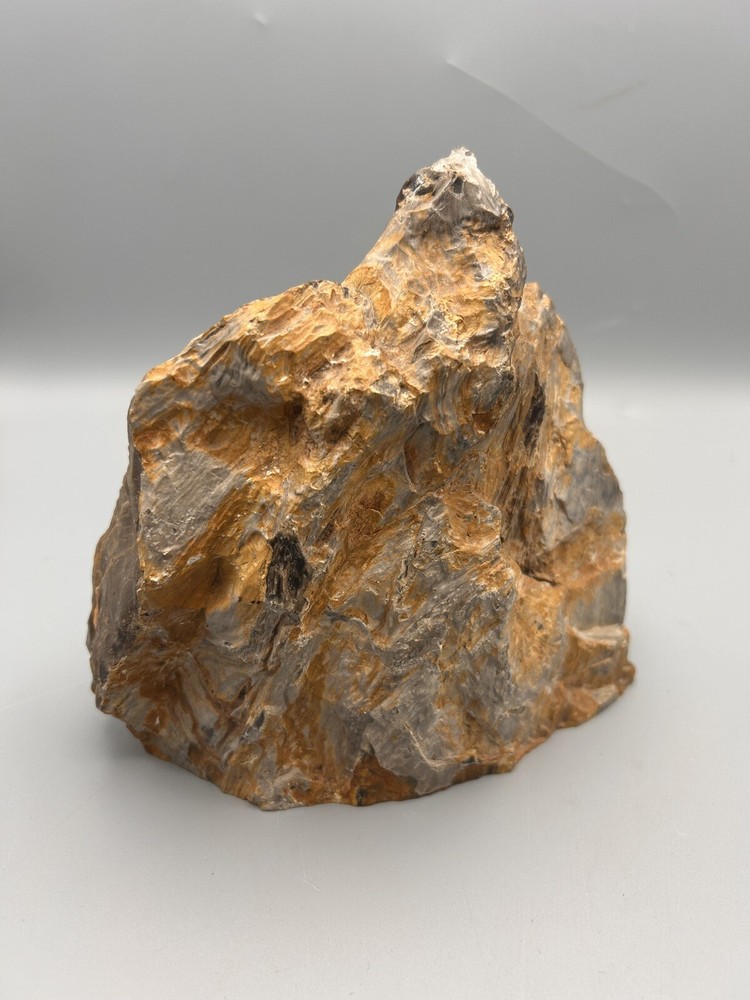 5lb Agatized Petrified Wood Nice specimen