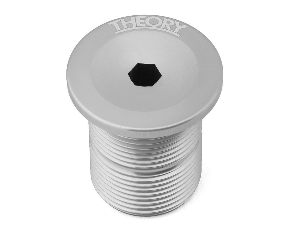 Theory Fork Top Cap Bolt (Silver)