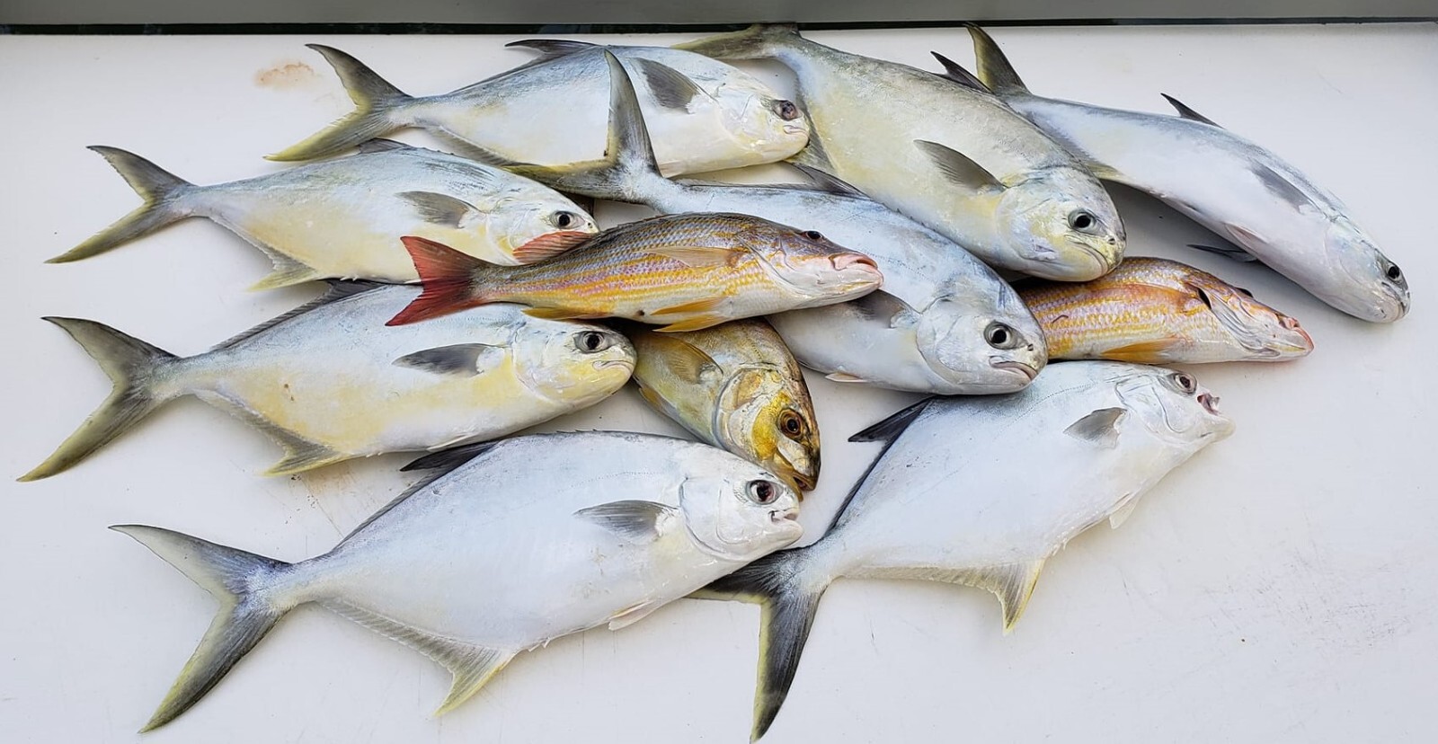 "Super Sand Flea" Hi-Low Fishing Rigs Bullet Floats Pompano Whiting Snappers