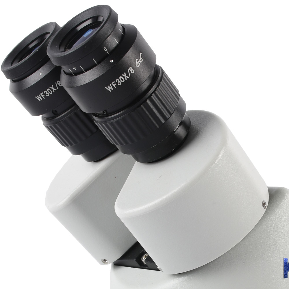 KOPPACE 2 PCS WF30X/8 Microscope Eyepieces 30mm Interface