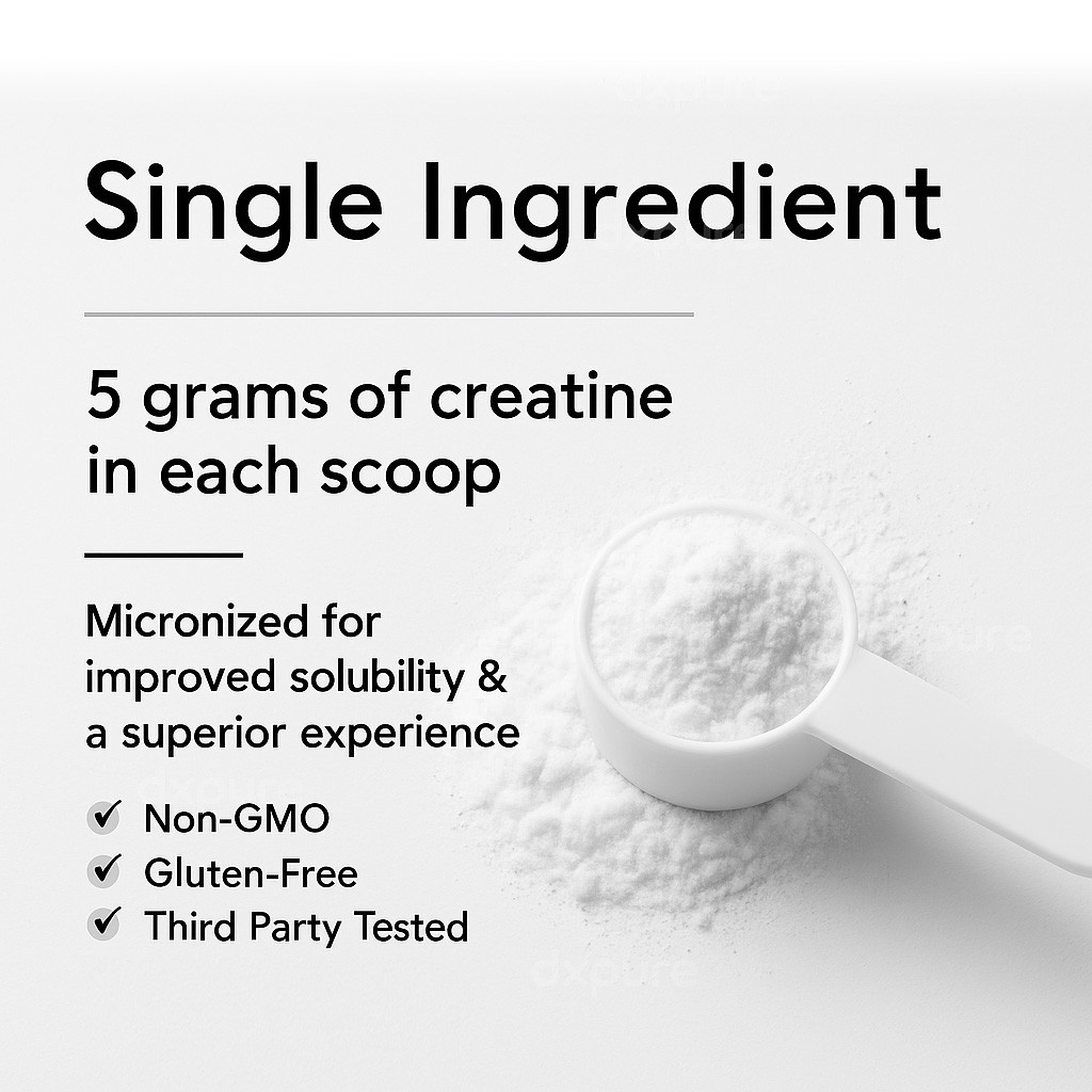 Creatine Monohydrate Micronized Powder 500G - 100 Servings - Unflavored