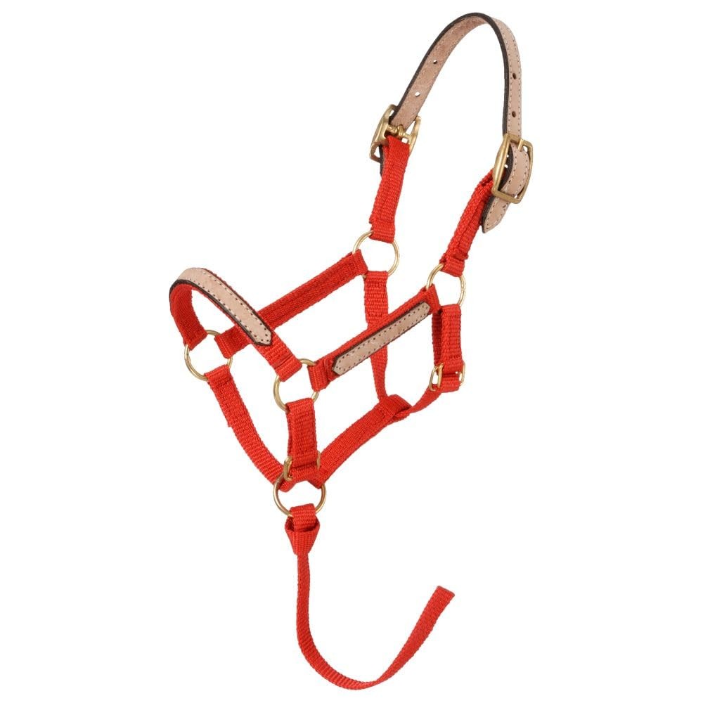 Tough1 Miniature Nylon Breakaway Halter - Red - Medium Medium,