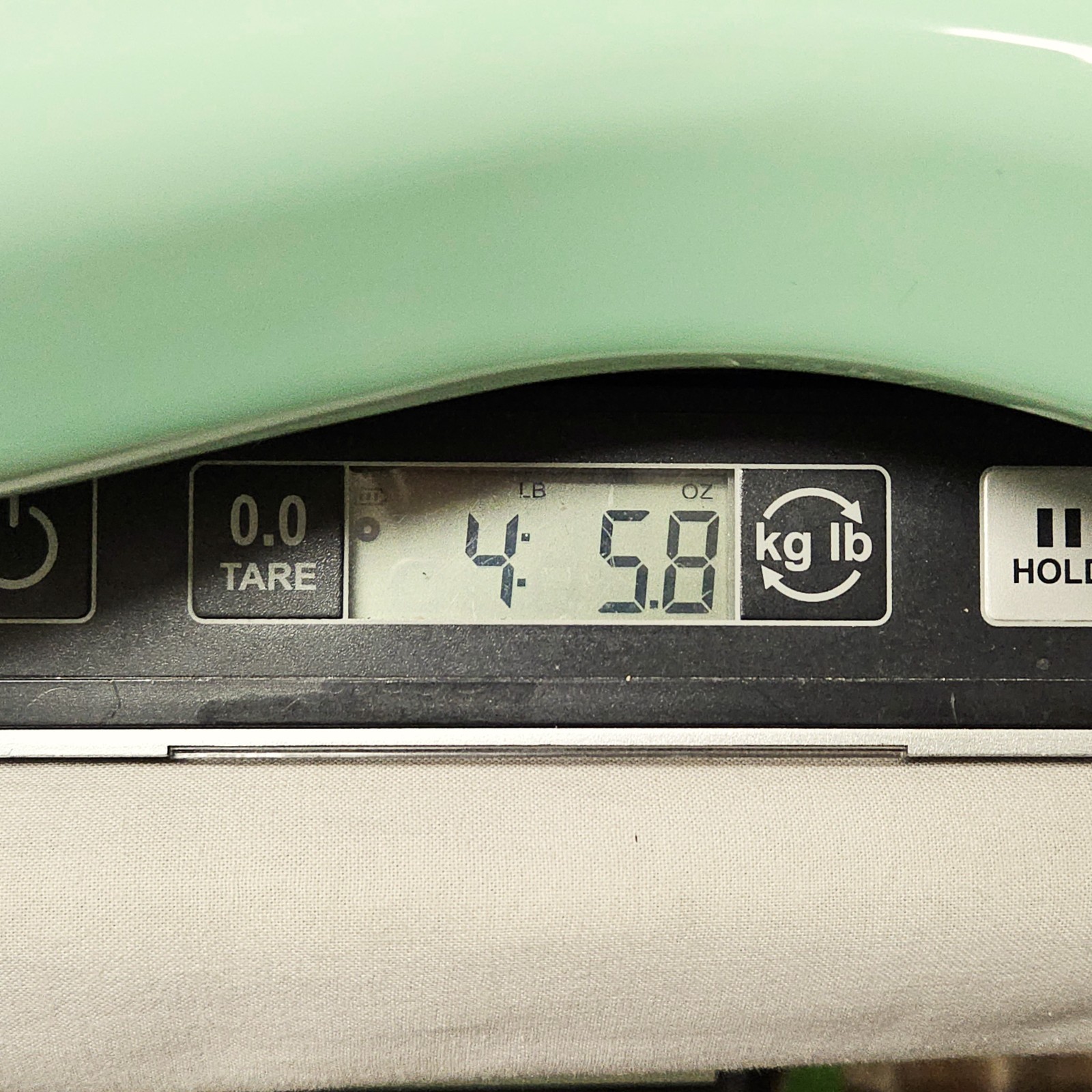 Fender Tom Delonge Stratocaster Alder Hardtail Body - Surf Green Strat Guitar