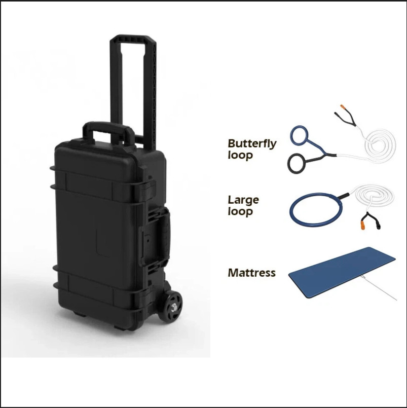 PEMF PMST Loop Pulse Eletromagnetic Field Mat Full Body Treatment Physiotherapy