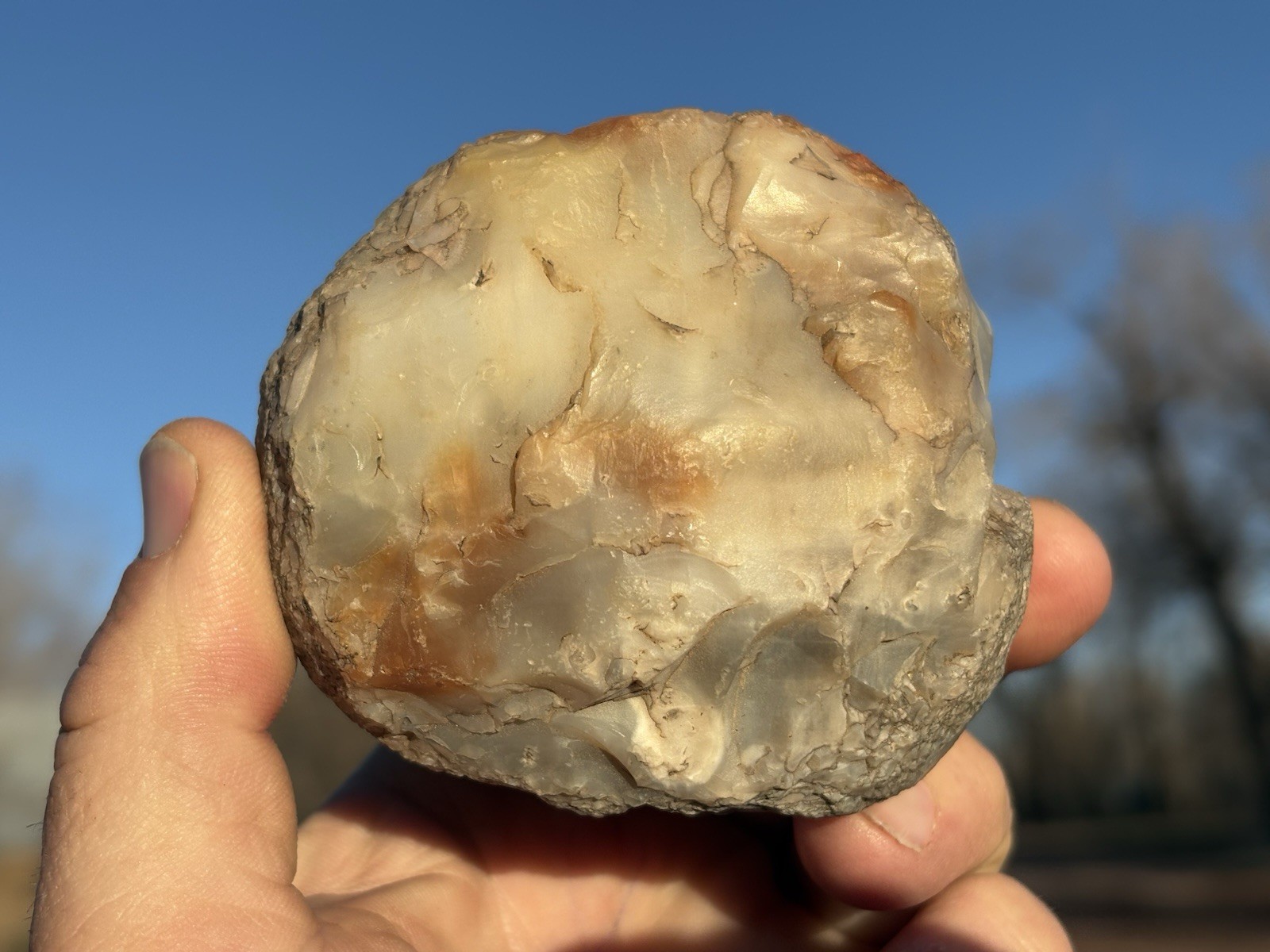 ☘️RR⚒: Anasazi Mano Made From Agate Fossil Wood NE AZ.