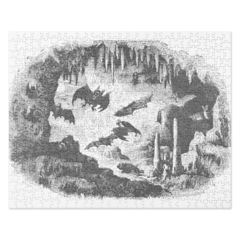 Cave with Bats, Sketch Art Jigsaw puzzle 520 pc