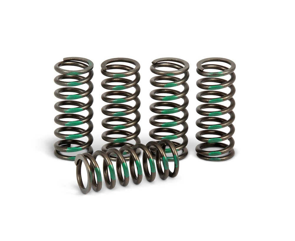 Pro Circuit Clutch Springs #CSK09450-CS
