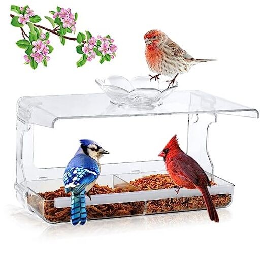 Window Bird Feeder with Non-Marking Self-Adhesive Hooks, Clear and Standard