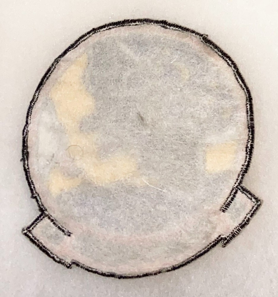 USN Theatre Made VAW-122 Squadron Patch