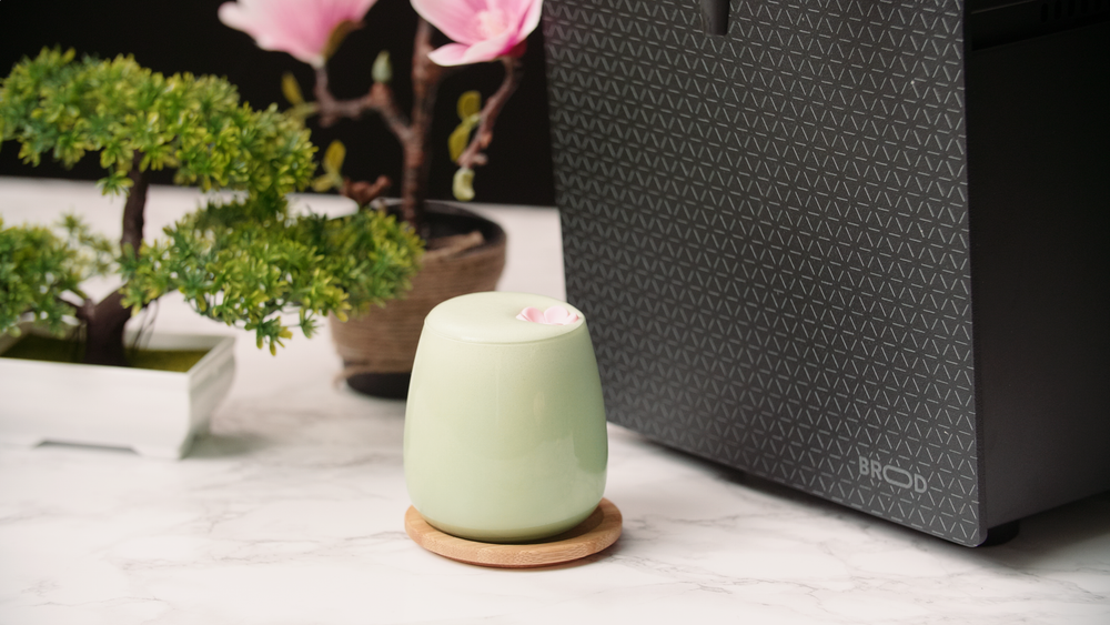 BROOD DRNX DUO Nitro Cold Brew System