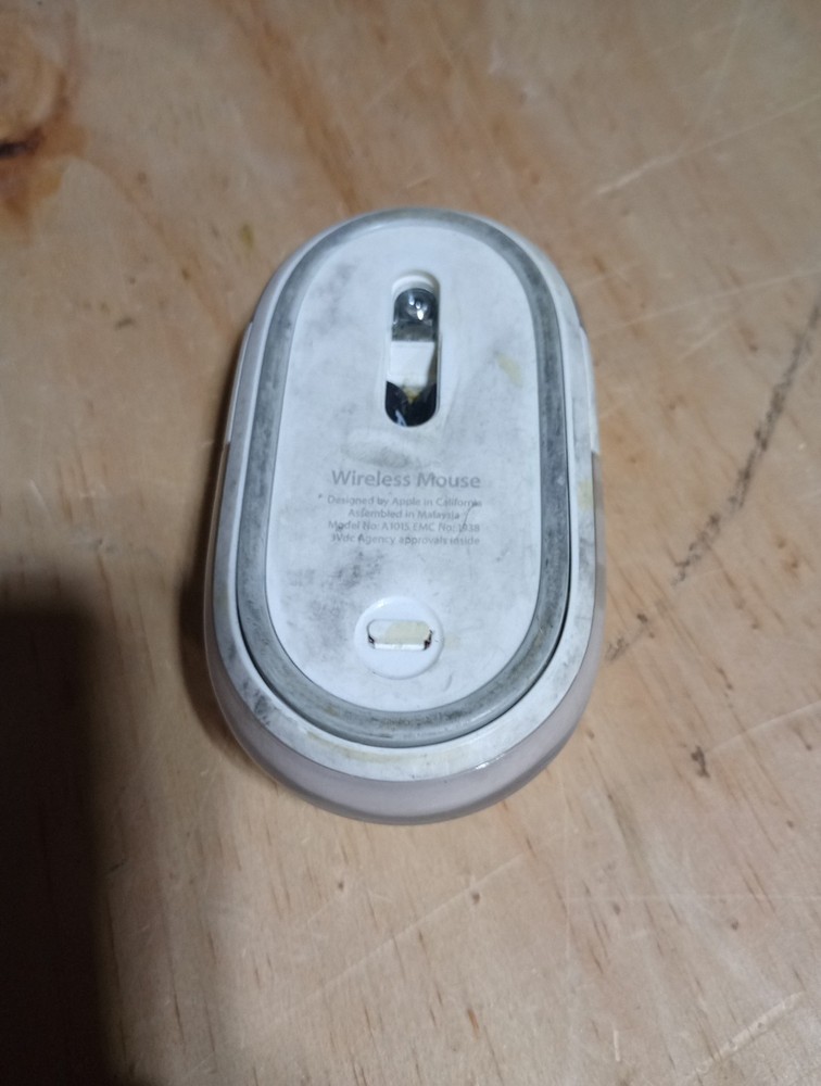 Apple Mouse Untested