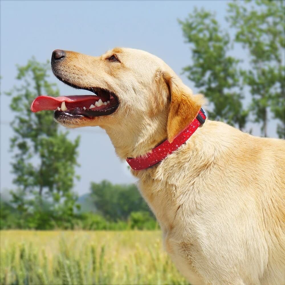 Glittering Basic Dog Collar Comfy & Durable Dog Collar for Small Medium Large...