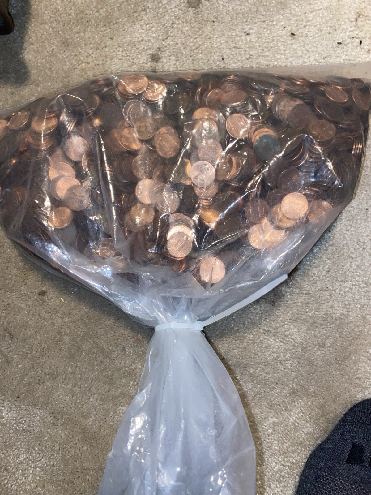 BAG OF PENNIES UNSESRCHED COPPER AND REGULAR CENT COINS FROM LOCAL CASINO