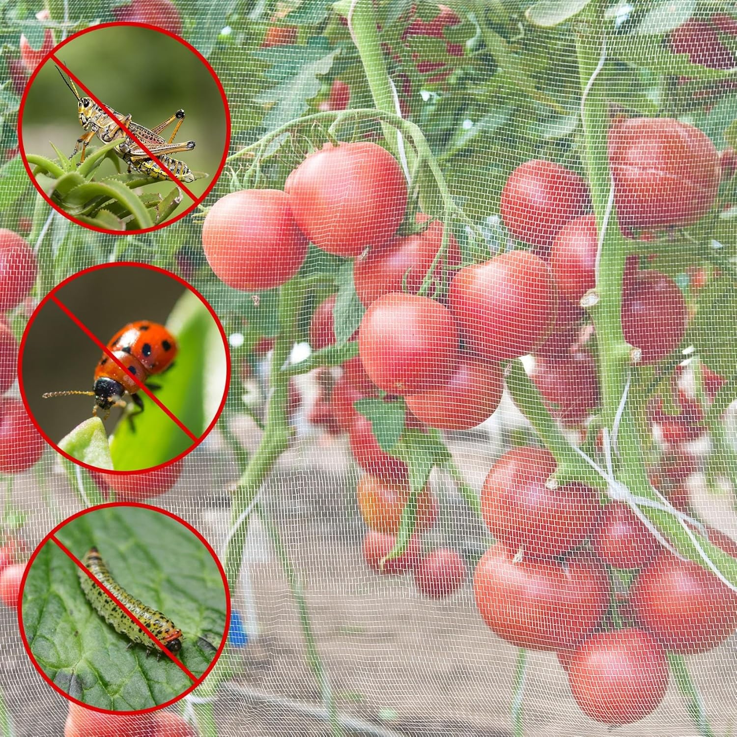 20-150ft Mosquito Garden Bug Insect Netting Barrier Bird Net Plant Protect Mesh