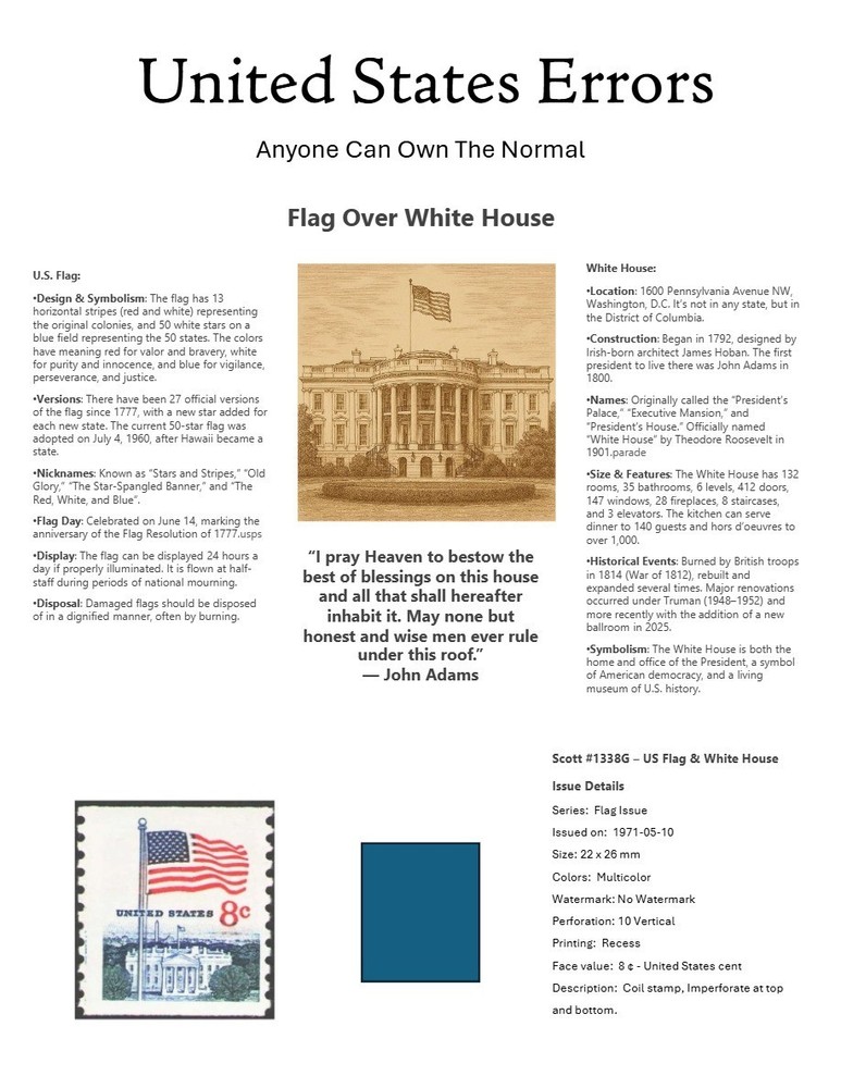 Centsational Custom Presentation Panel For Error SN 1338G - 8.5” X 11”