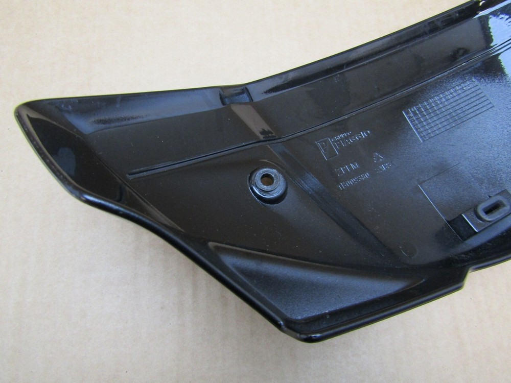 Piaggio 1 2022 fly screen (13479)