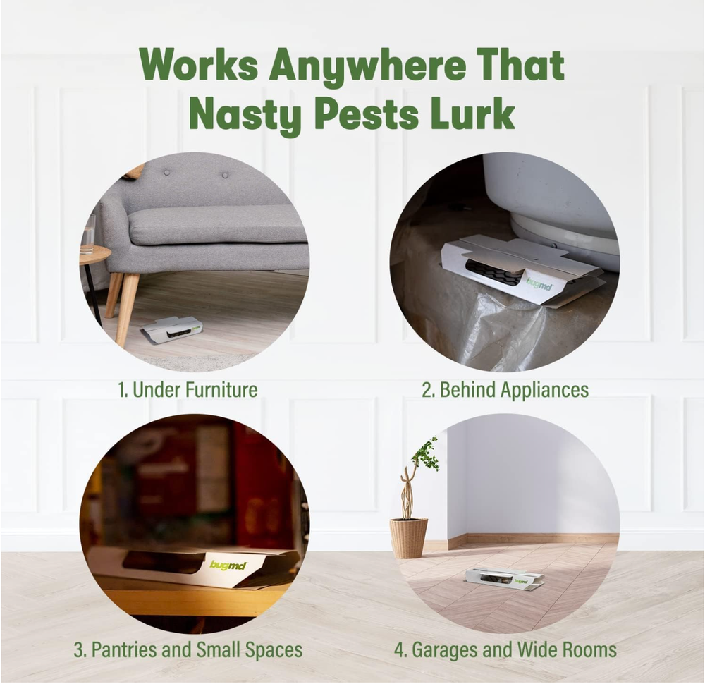 BugMD Indoor Cockroach Killer& Roach Trap-Sticky Insect,Spider,Cricket Ctlr 12pc