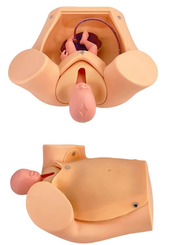 Childbirth Bsterric Delivery Skill Training Model Simulation Parturition PVC