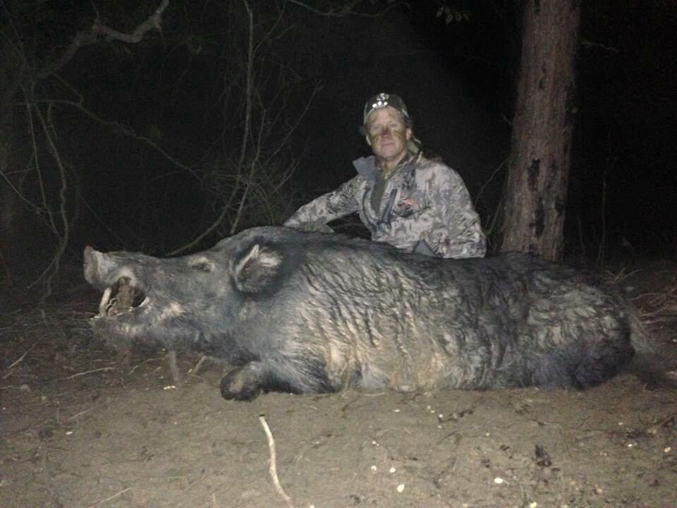 Semi Guided Wild Hog Hunts In Oklahoma