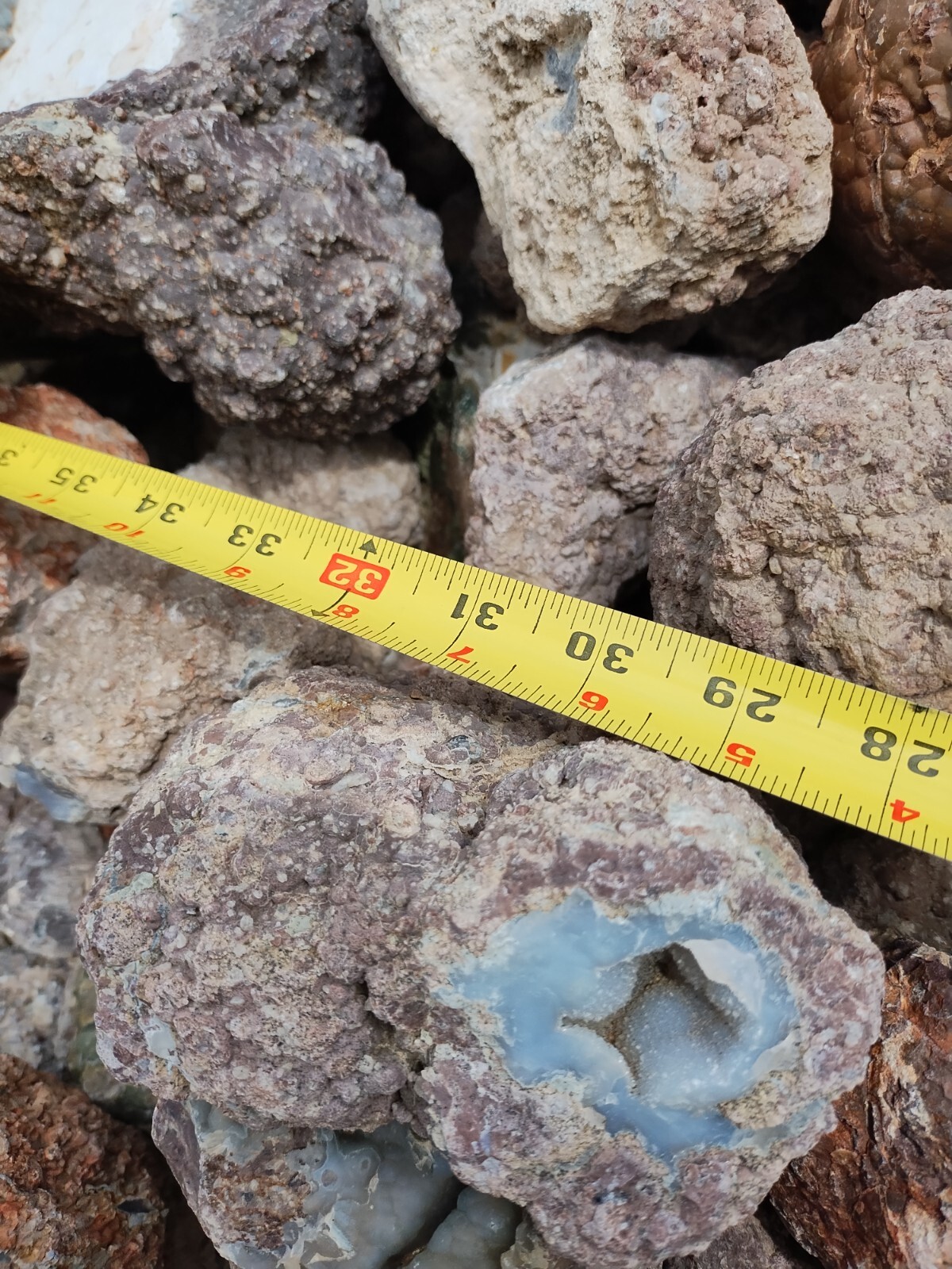 Thundereggs, Oregon, 4 Pound lot, Whole Uncut Rough, Agate