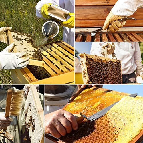 14 Pcs Beekeeping Tools Starter Kit, Bee Keeping Supplies-All Bee Hive Tools