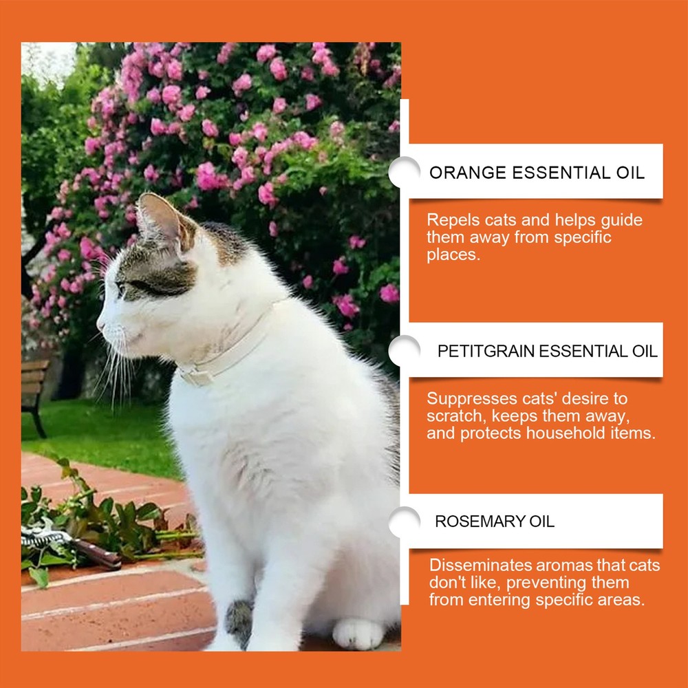 Cat Scratch Spray Keep Off Cat Spray 100ml Spray To Keep Cats From Efficient