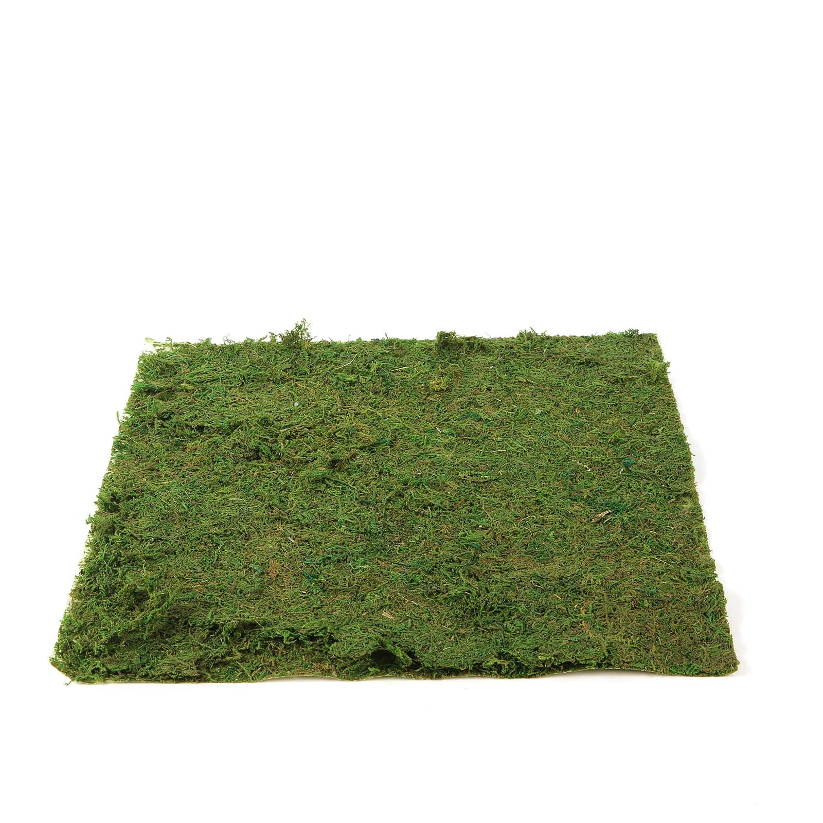18" x 16" Green Natural Preserved Moss Sheet Party Wedding Crafts Decorations