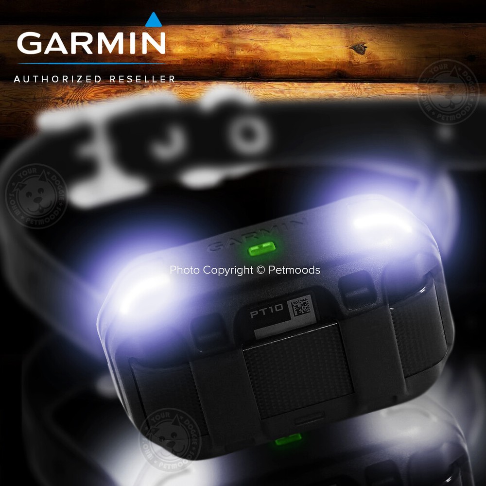 Garmin Pro 550 Advanced Dog Trainer Collar System