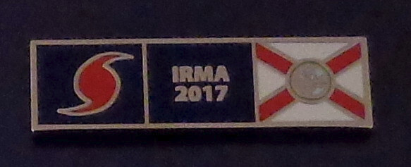 Hurricane Irma 2017 Florida State Flag Uniform Pin Silver FL