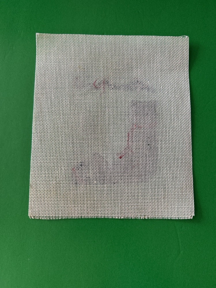 Needlepoint Canvas Painted Initial C Teddy Bear Christmas Candy Cane Red Scarf