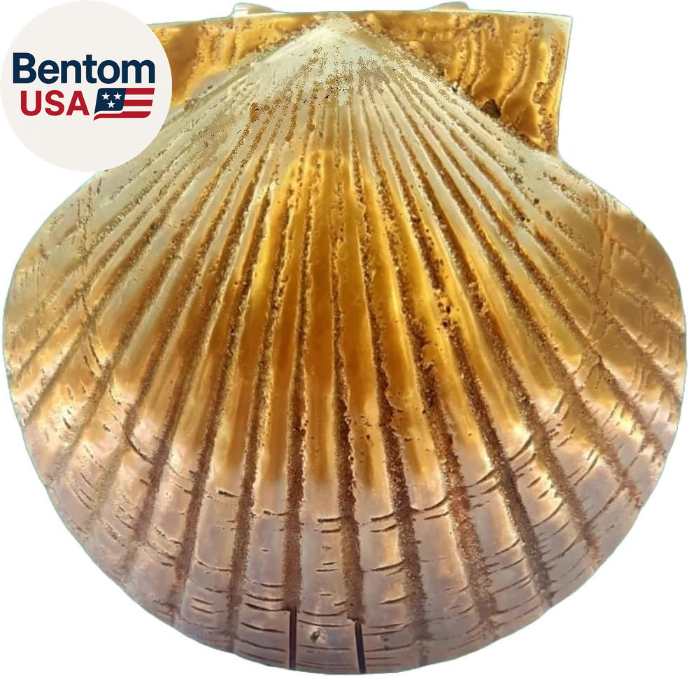 Brass Scallop Shell Door Knocker for Front Door, Nautical Solid Brass Door Knock