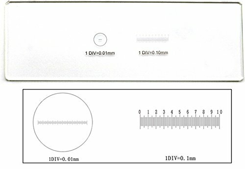 0.1mm 0.01mm Microscope Stage Micrometer Calibration Slide Graduated Scale Slide
