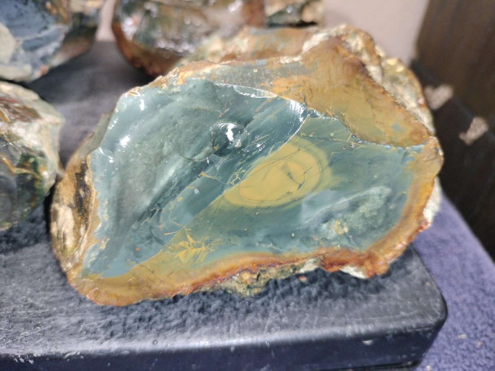 12LB ORBS Blue Mountain Picture of Jasper Rough 4pc Lot #21