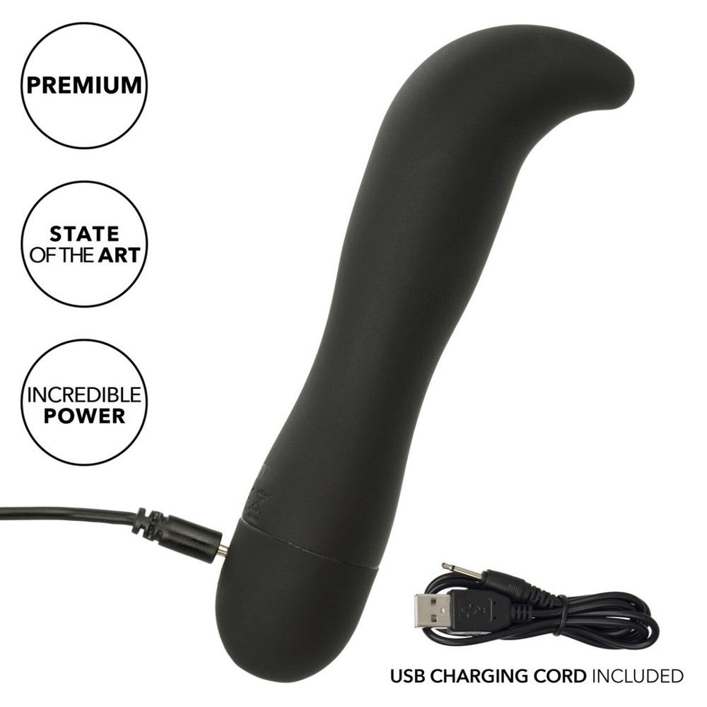 Dr Joel Kaplan Rechargeable Vibrating Prostate Massager Anal Probe Vibrator Plug