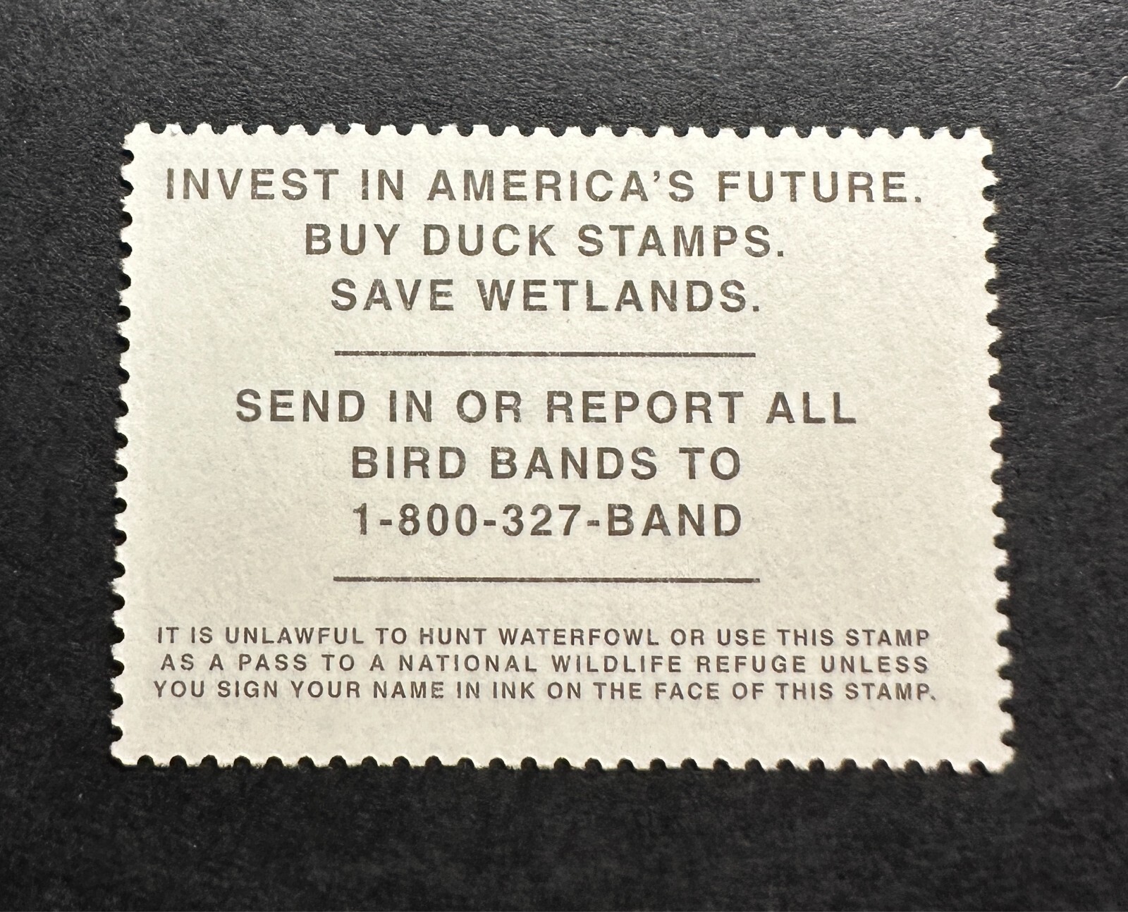 WTDstamps - #RW73 2006 - US Federal Duck Stamp - Mint OG NH