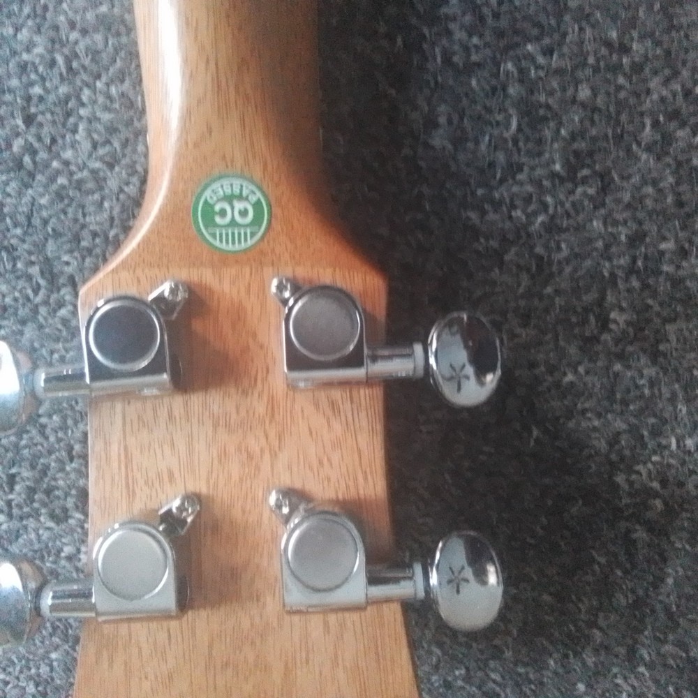 Kmise 4 String Banjo