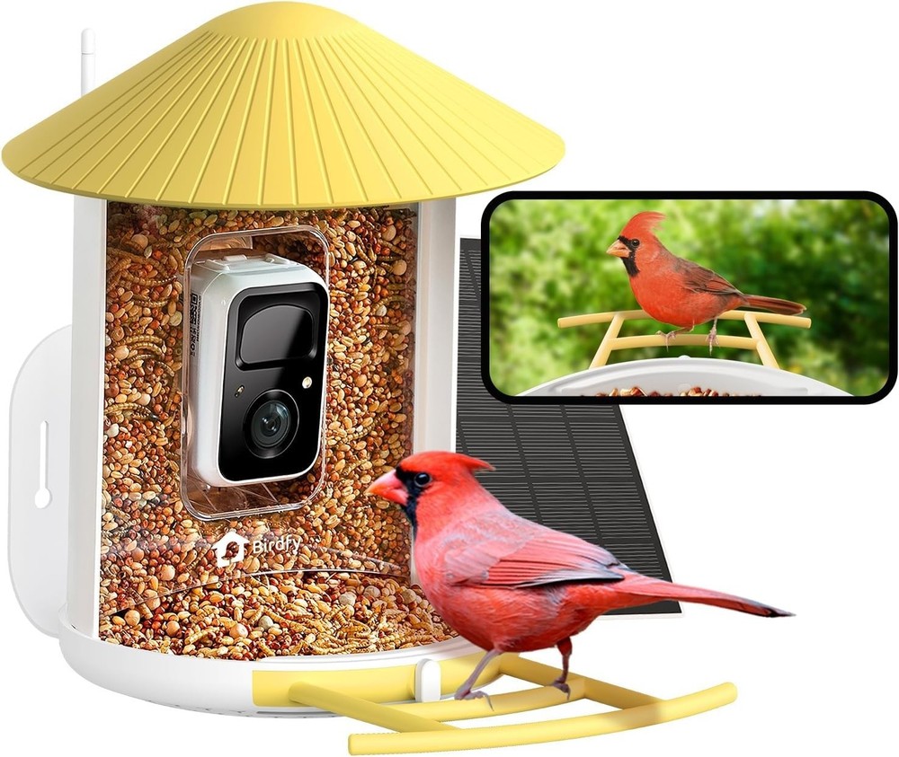 AI Bird Feeder for Live Streaming & Notifications