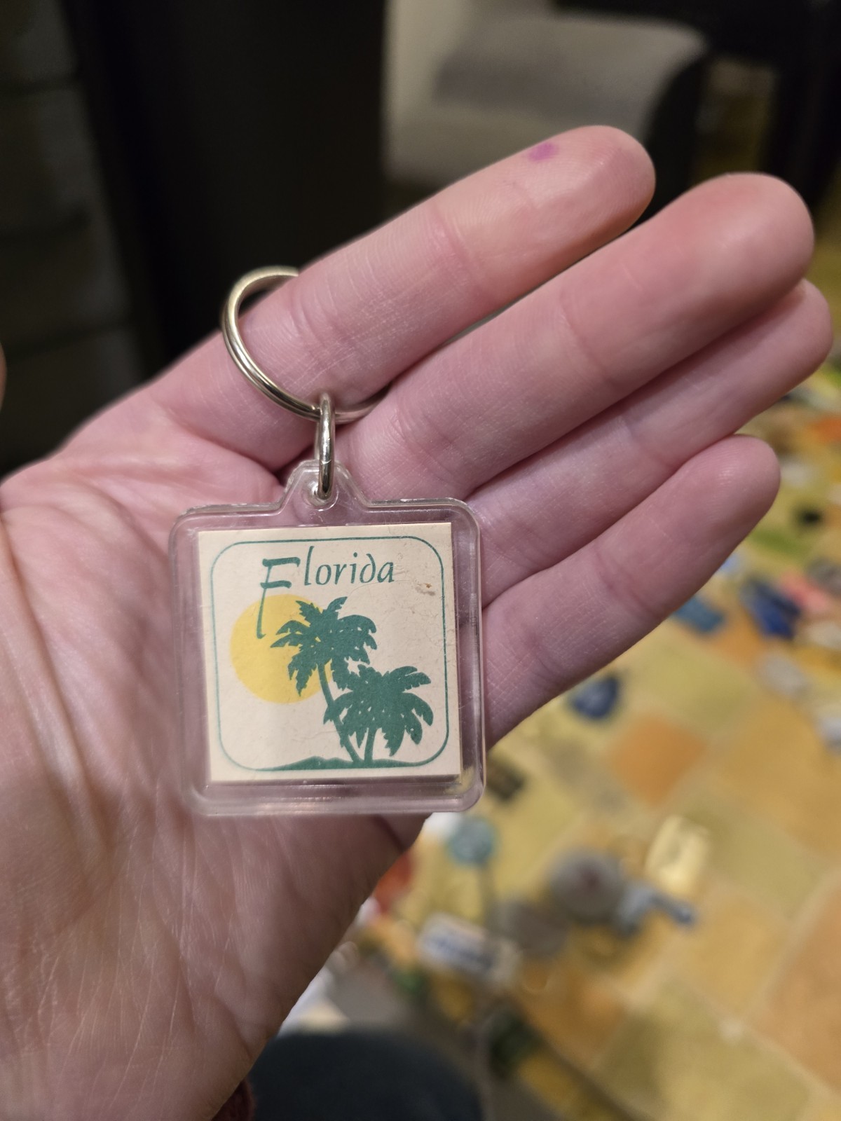 Florida Keychain Collectible Souvenir Key FOB Palm Trees Acrylic