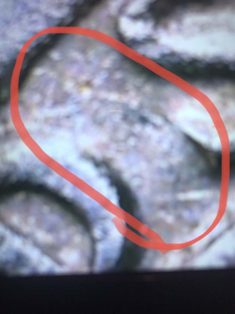 1985 P washington Strike Through quarter and Errors.