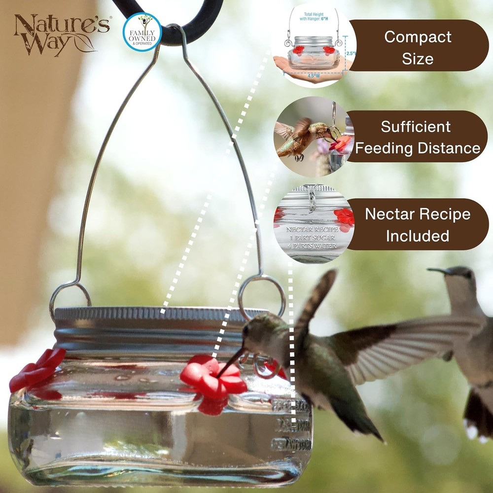 Mason Jar Hummingbird Dish Feeder, Clear