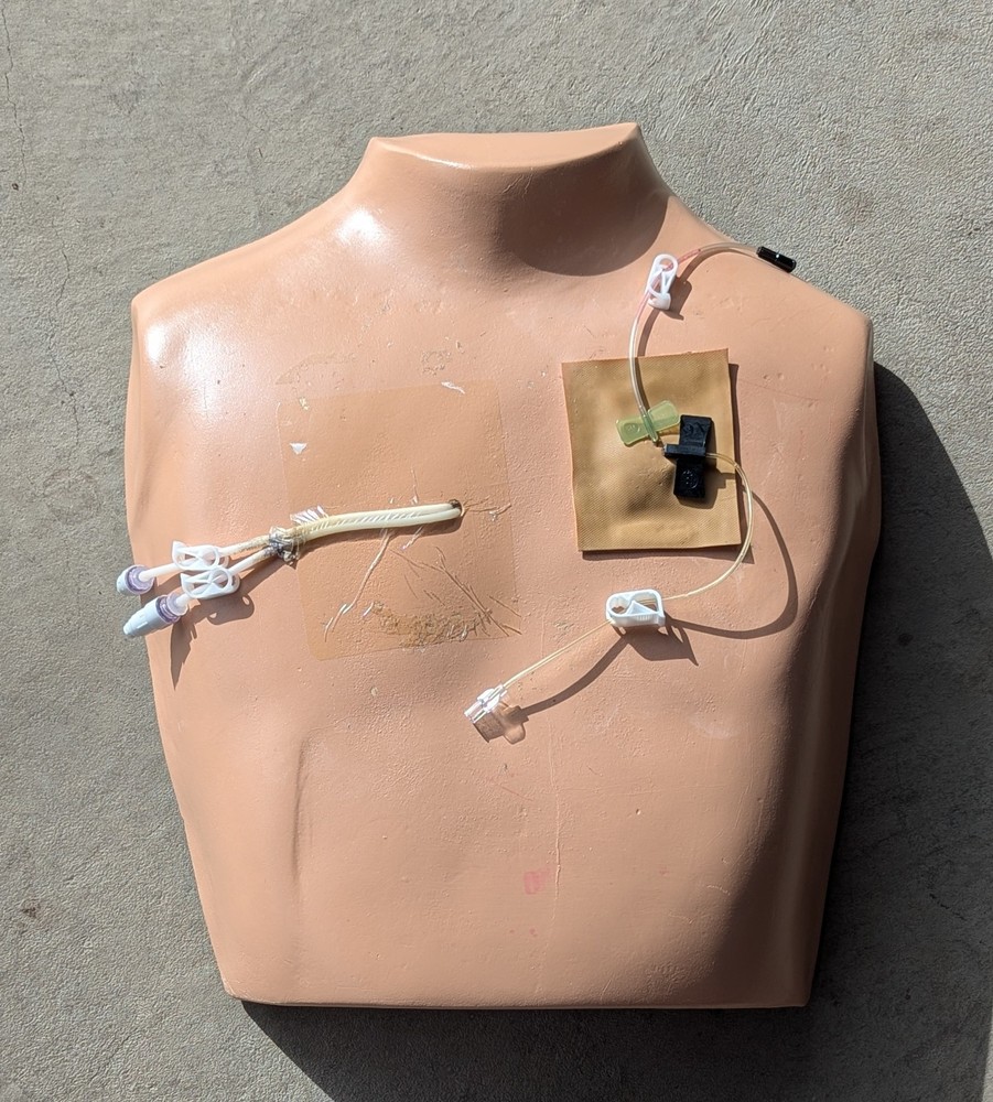 Nursing Teaching Mannequin Ned Chest Vascular Access Training Aid