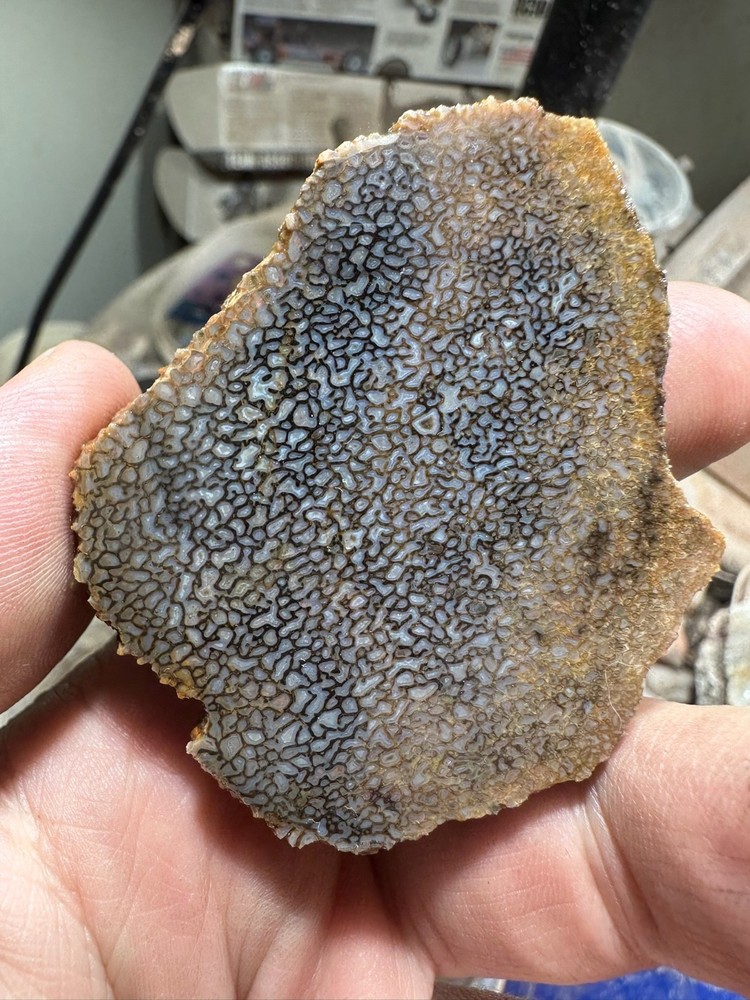 Dinosaur bone rough **hxtled slab.