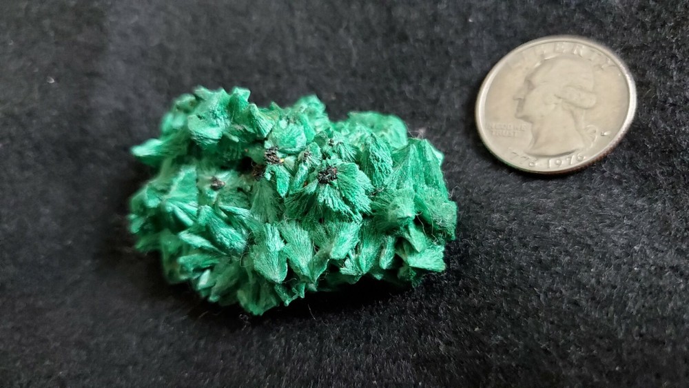 Malachite Chatoyant Mashamba West Mine, Zaire #119B