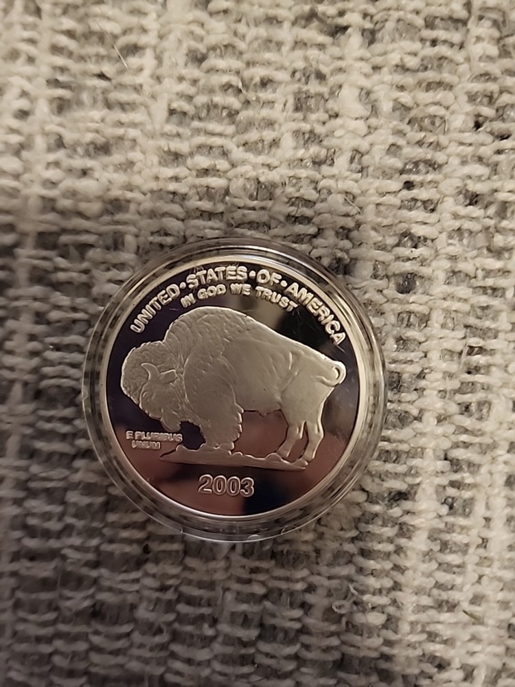 COPY 2003 Buffalo Indian Head Coin Serialized (GH0801)