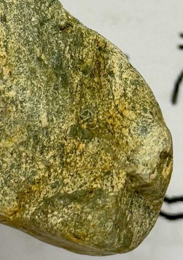 Native American Indian Authentic Artifact Stone Carved Effigy, 5.2 oz • VA