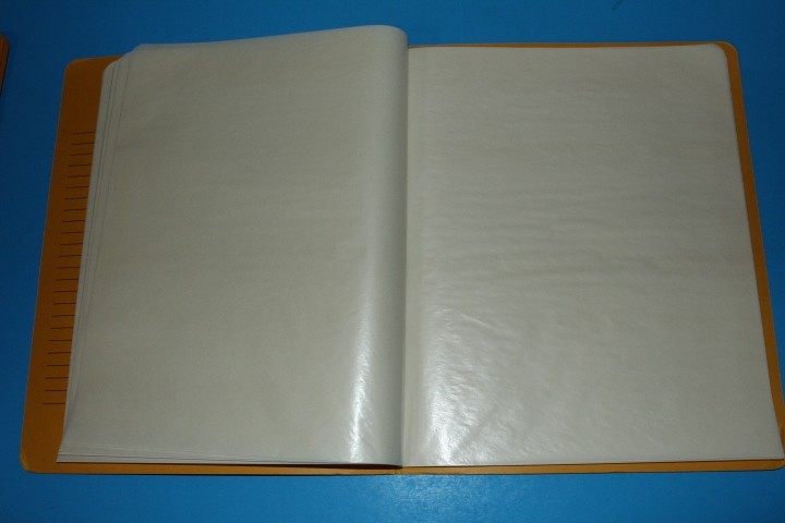 CMC Mint Sheet File Capacity 16 pgs 3 pocket 11.5" x 9.5" BlueLakeStamps CLEAN