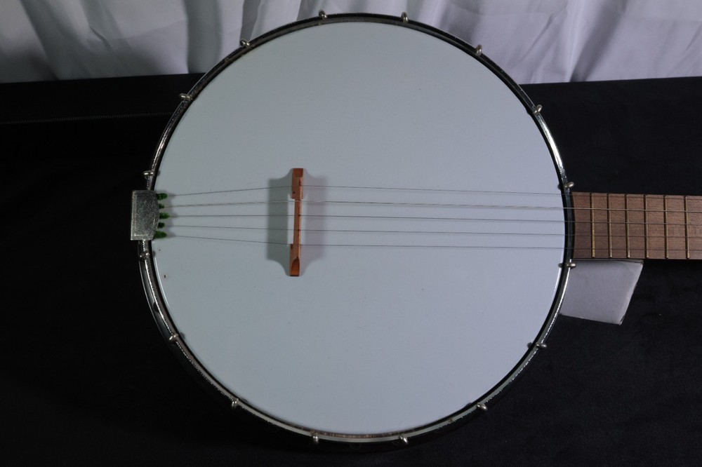 Harmony 5 String Banjo with carrying case