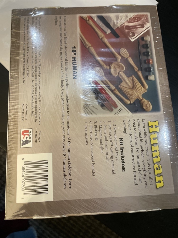 Human Skeleton Custom Cast & Paint Kit - 18 " - Bones Project Science - NIB