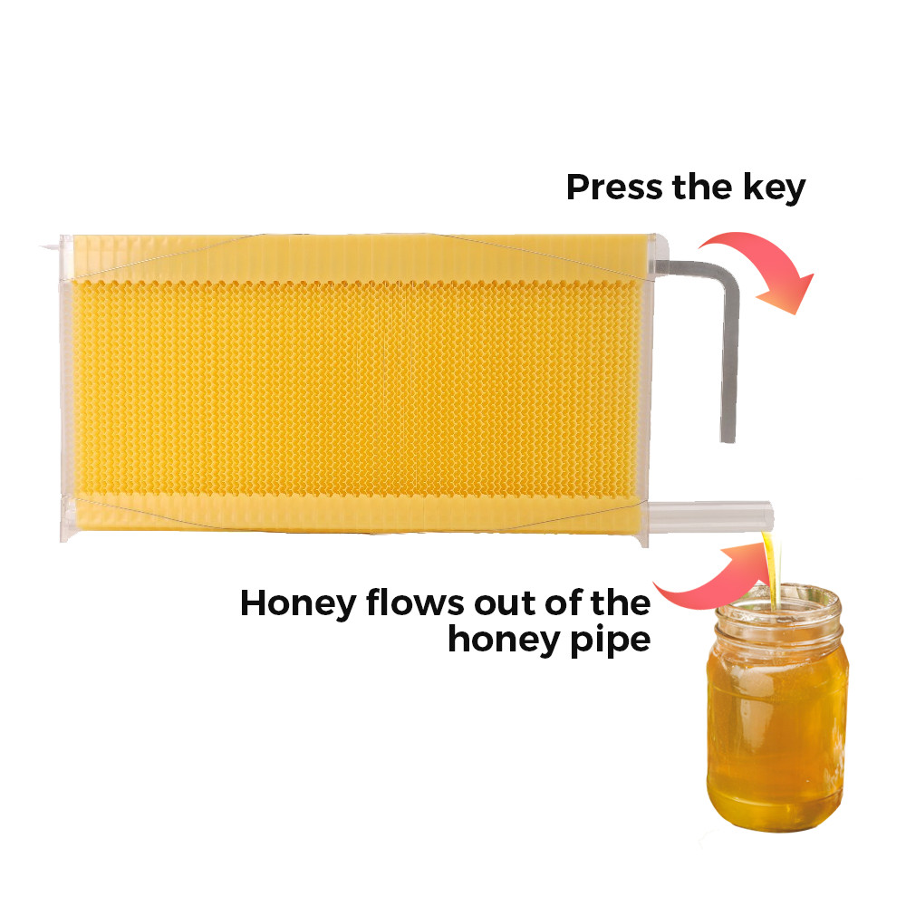 7 Auto Honey Beehive Frames Upgraded Honey Comb Bee Frames Beekeeping Frames USA